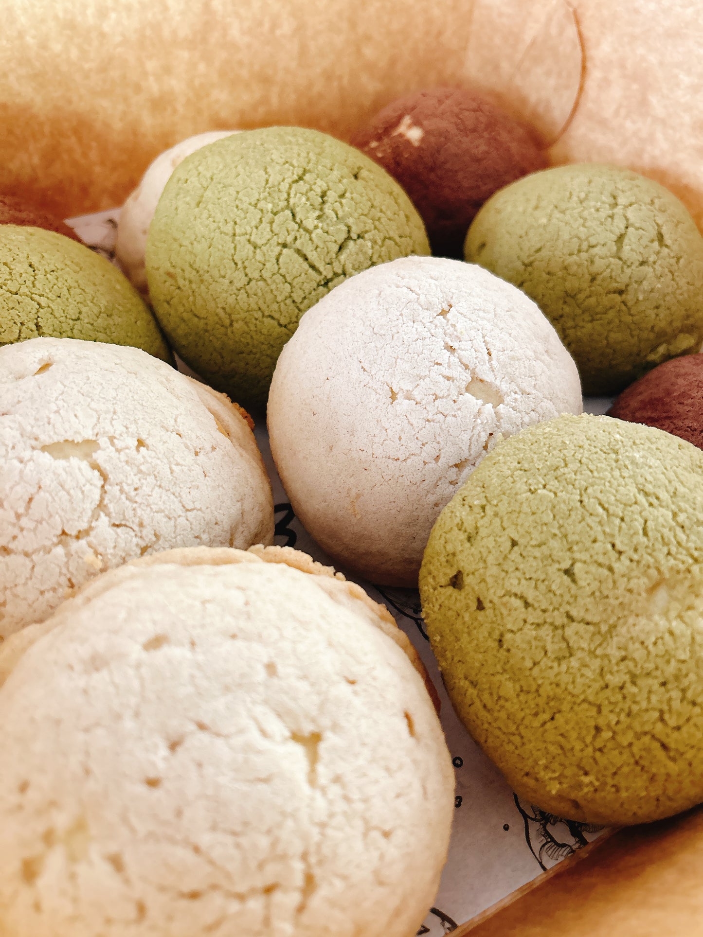 Conchas